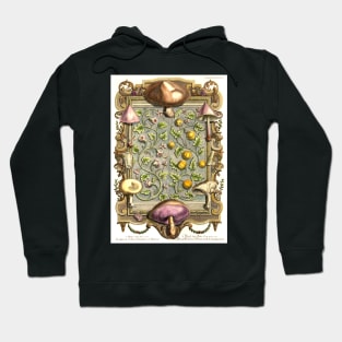 Mushrooms and Flowers - Physica Sacra Hoodie